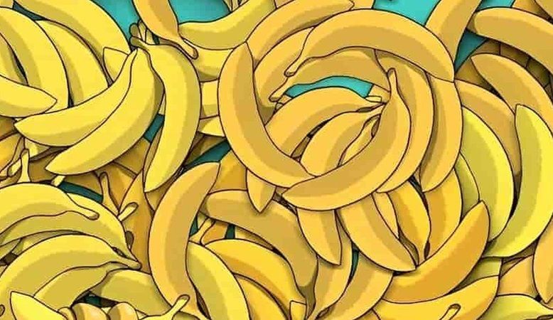 5 saniyeniz var… Muzların arasındaki yılanı görenler ‘süper zeki’ sayılıyorlar... 1